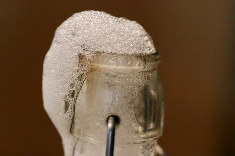 Kombucha